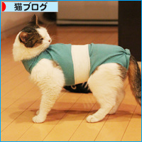 それぞれのフード_a0389088_18094857.jpg