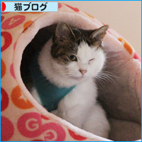 子猫だったのに・・・_a0389088_18094947.jpg