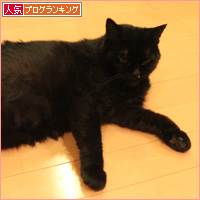 真夜中の習慣_a0389088_18094980.jpg