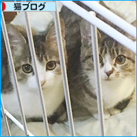 かんみさんの実子たちは今・・・!_a0389088_18095017.jpg