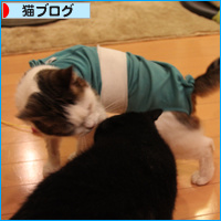 真夜中の習慣_a0389088_18095084.jpg