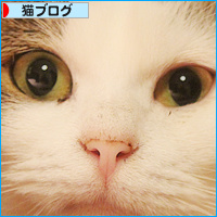 しろちゃんのもくろみ_a0389088_18095256.jpg