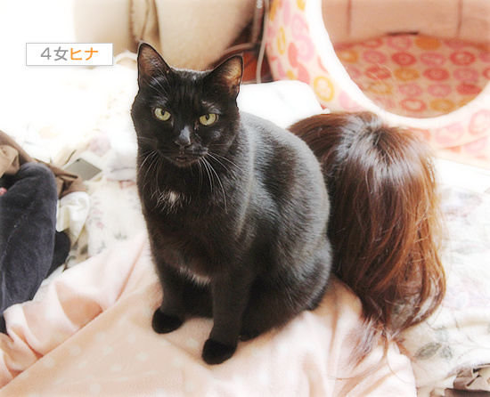 ねこねこマッサージ屋さん_a0389088_18095365.jpg