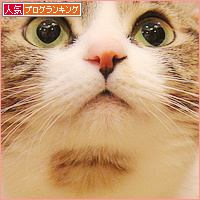 キジ白の違い_a0389088_18095379.jpg