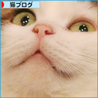 キジ白の違い_a0389088_18095387.jpg