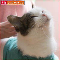 トイレの出待ち_a0389088_18095406.jpg
