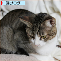 ねこねこマッサージ屋さん_a0389088_18095412.jpg
