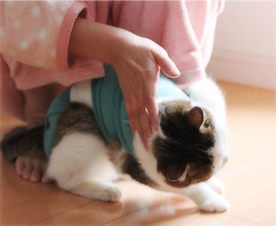 トイレの出待ち_a0389088_18095436.jpg