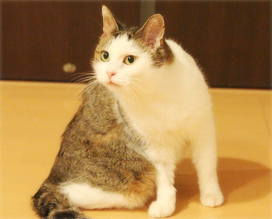 抜糸しました!_a0389088_18095662.jpg