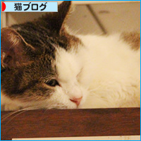 抜糸しました!_a0389088_18095672.jpg