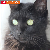 王様のえり巻_a0389088_18095694.jpg