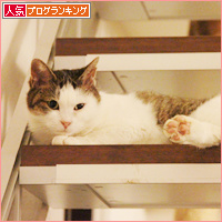 抜糸しました!_a0389088_18095699.jpg