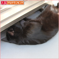ベランダ満喫隊_a0389088_18095701.jpg