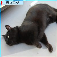 ベランダ満喫隊_a0389088_18095789.jpg