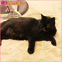 一番かわいいお顔?_a0389088_18095831.jpg