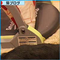 一番かわいいお顔?_a0389088_18095888.jpg