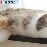 同じおばあちゃんの子でも・・・_a0389088_18100974.jpg