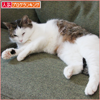 8か月_a0389088_18101016.jpg
