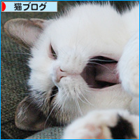 8か月_a0389088_18101073.jpg