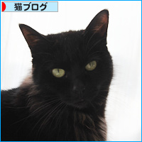 黒猫クイズ_a0389088_18101215.jpg
