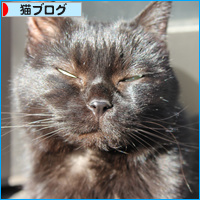 まめのために_a0389088_18101398.jpg