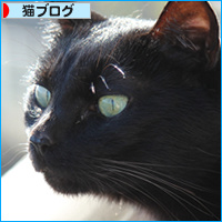 ベランダ争奪戦_a0389088_18101417.jpg