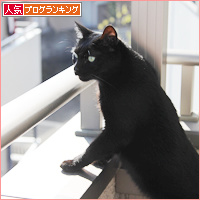 ベランダ争奪戦_a0389088_18101491.jpg