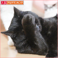 トイレのあとは_a0389088_18101508.jpg