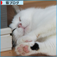 トイレのあとは_a0389088_18101556.jpg