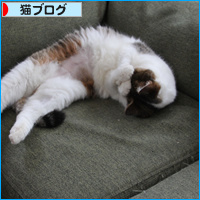 飛び猫_a0389088_18102023.jpg