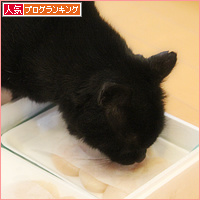 年末のハッピーデー_a0389088_18102419.jpg