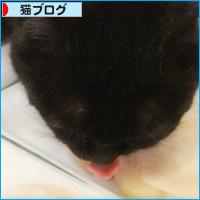 年末のハッピーデー_a0389088_18102440.jpg