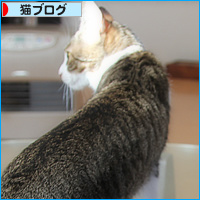 動けないのは(ぽんきゅのこと)_a0389088_18104918.jpg