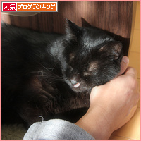 動けないのは(ぽんきゅのこと)_a0389088_18104930.jpg