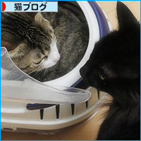 ぽんきゅの病院_a0389088_18105501.jpg