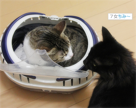 ぽんきゅの病院_a0389088_18105576.jpg