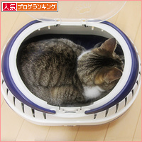 ぽんきゅの病院_a0389088_18105592.jpg
