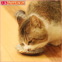 でかお君の一歩_a0389088_18111108.jpg