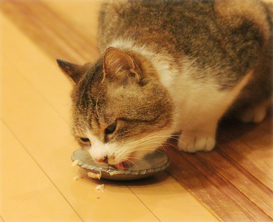 でかお君の一歩_a0389088_18111137.jpg