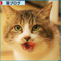 でかお君の一歩_a0389088_18111150.jpg