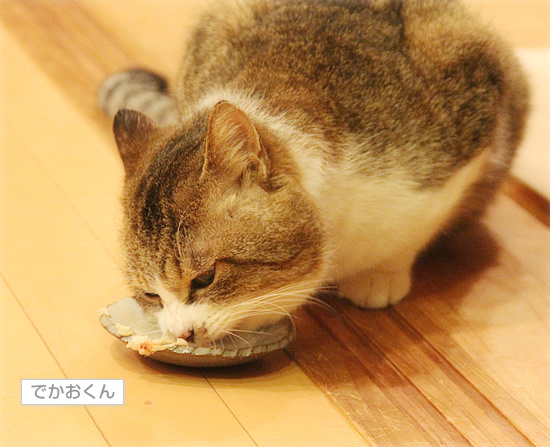 でかお君の一歩_a0389088_18111170.jpg