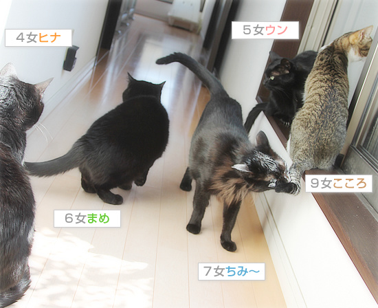 春のにおい_a0389088_18111229.jpg