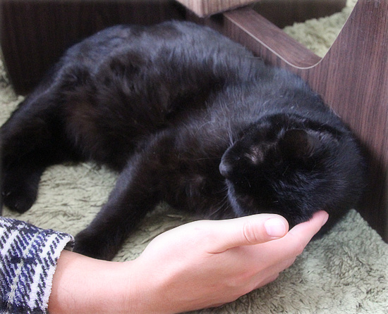 ひなまつりというものは・・・_a0389088_18111237.jpg