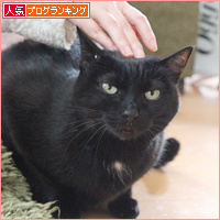 ひなまつりというものは・・・_a0389088_18111390.jpg