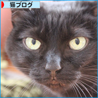 ひなまつりというものは・・・_a0389088_18111397.jpg