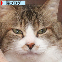 おばあちゃんが遺した猫たちのその後_a0389088_18111518.jpg