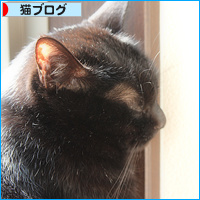 シニア猫と暮らすということ_a0389088_18111575.jpg