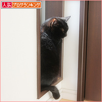 シニア猫と暮らすということ_a0389088_18111596.jpg