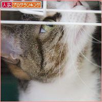 ぽんきゅの経過_a0389088_18111658.jpg