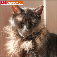 がまんできない!_a0389088_18111784.jpg